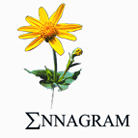 Ennagram - MARINE ACTIVES 